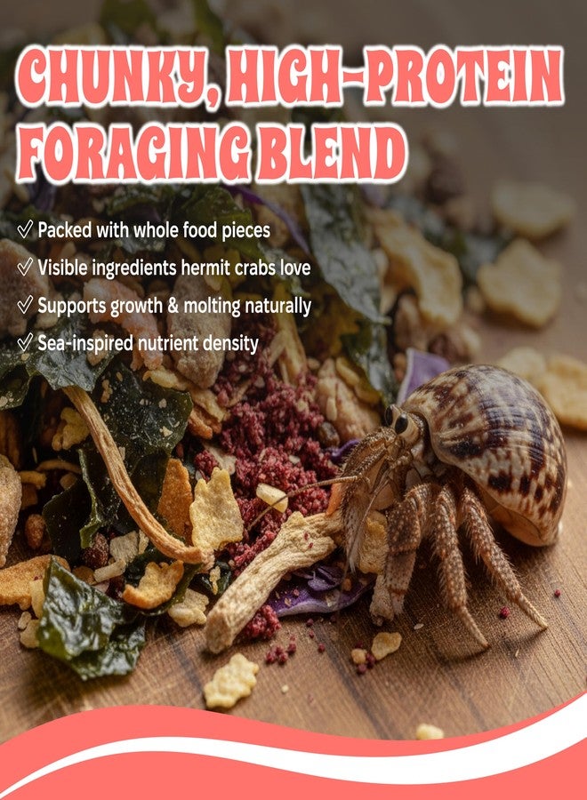 Snout and Shell Tidepool Protein Blend Hermit Crab Food - High Protein, Natural Sea-Inspired Variety, Supports Growth & Molting - 2 oz / 56 g - Image 4
